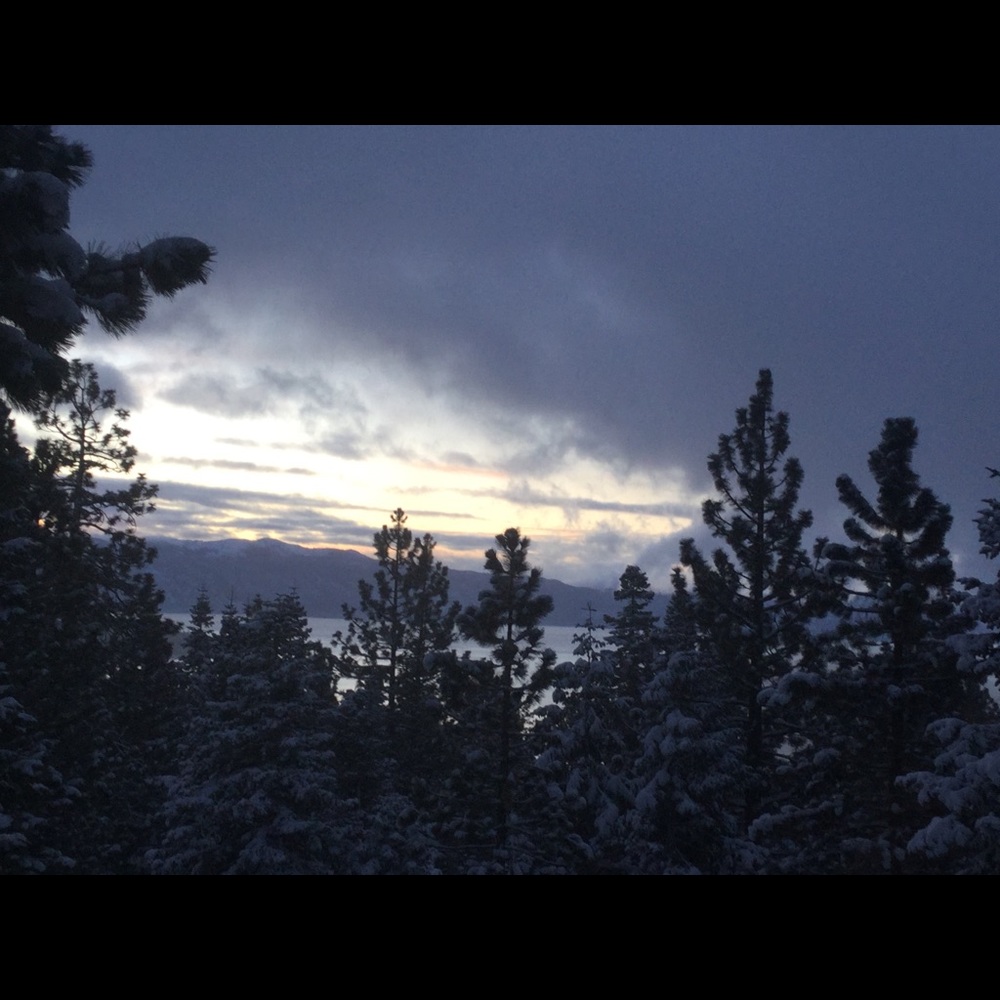 Meet your Posher, Julie